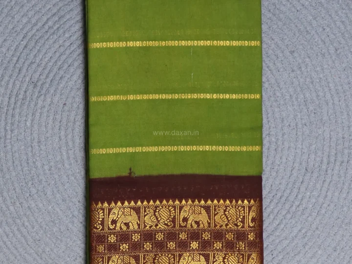 Dark Olive Green Body with Dark Sienna Border and Gold Band Velthari Stripes